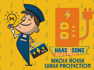 Whole House Surge Protection Pasadena Md Haas Sons